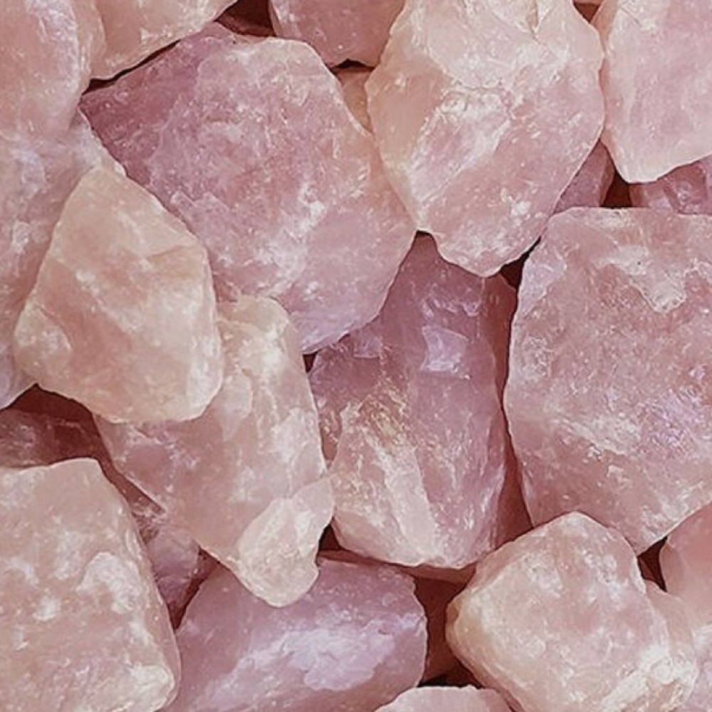 Meet your Posher, Maddie